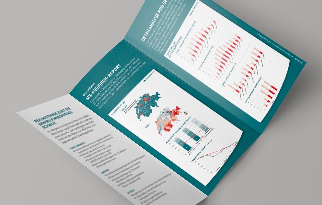 Projekt Realmatch360 – Martin Eiter – Agentur für Grafik und Corporate Design